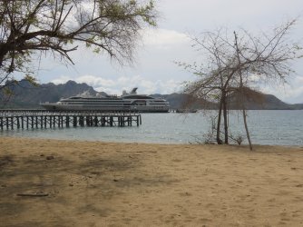 IMG_0647.JPG IMG_0647.JPG