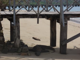 IMG_0648.JPG IMG_0648.JPG