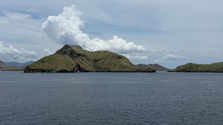 IMG_0083.JPEG IMG_0083.JPEG