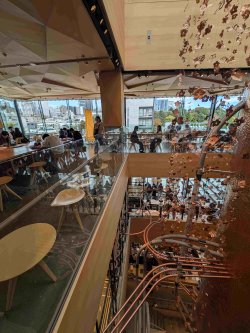 PXL_20251103_023229933.jpg PXL_20251103_023229933.jpg