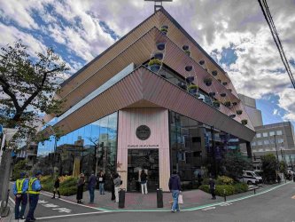 PXL_20251103_023556062.jpg PXL_20251103_023556062.jpg