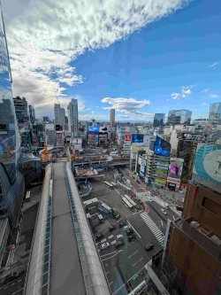 PXL_20251103_040532112.jpg PXL_20251103_040532112.jpg