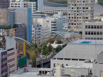 PXL_20251103_041013703.jpg PXL_20251103_041013703.jpg