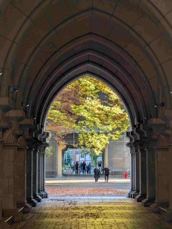 PXL_20251103_054020490~2.jpg PXL_20251103_054020490~2.jpg