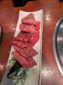 PXL_20251103_102553333.jpg PXL_20251103_102553333.jpg