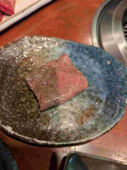 PXL_20251103_103349500.jpg PXL_20251103_103349500.jpg