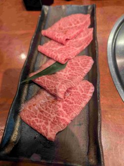 PXL_20251103_104144395.jpg PXL_20251103_104144395.jpg