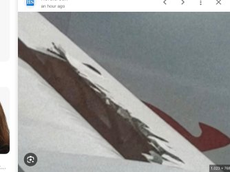 IMG_0455.jpeg IMG_0455.jpeg