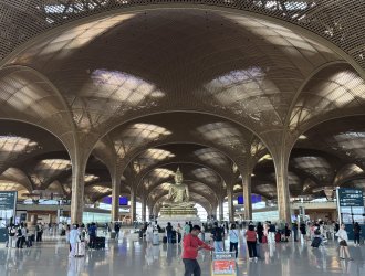 IMG_8475.jpeg IMG_8475.jpeg