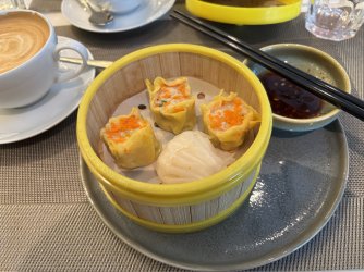 IMG_8481.jpeg IMG_8481.jpeg