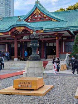 PXL_20251104_010041403.MP.jpg PXL_20251104_010041403.MP.jpg