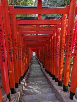 PXL_20251104_005810949.jpg PXL_20251104_005810949.jpg