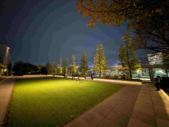 PXL_20251104_081815479.jpg PXL_20251104_081815479.jpg