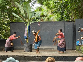 IMG_0161.JPG IMG_0161.JPG