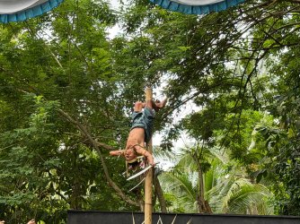 IMG_0179.JPG IMG_0179.JPG