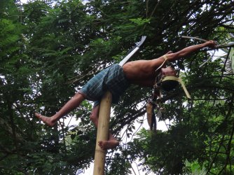 IMG_0665.JPG IMG_0665.JPG