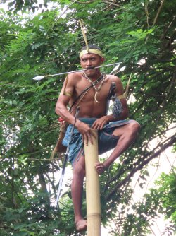 IMG_0668.JPG IMG_0668.JPG