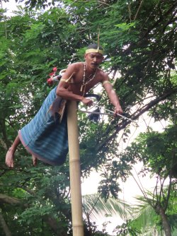 IMG_0669.JPG IMG_0669.JPG