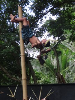 IMG_0672.JPG IMG_0672.JPG