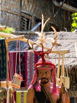 IMG_0288.JPG IMG_0288.JPG