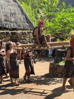 IMG_0301.JPG IMG_0301.JPG