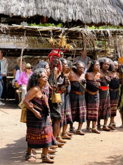 IMG_0311.JPG IMG_0311.JPG