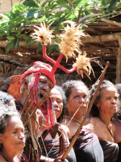 IMG_0720.JPG IMG_0720.JPG