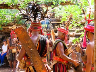 IMG_0731.JPG IMG_0731.JPG