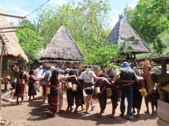 IMG_0733.JPG IMG_0733.JPG