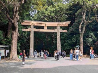 PXL_20251105_013720123.jpg PXL_20251105_013720123.jpg