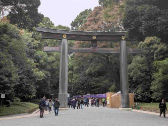 PXL_20251105_022420485.jpg PXL_20251105_022420485.jpg