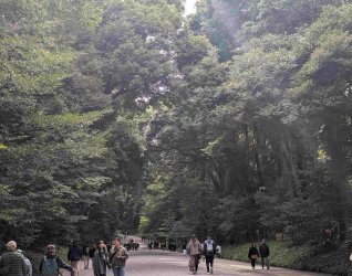 PXL_20251105_022743519.jpg PXL_20251105_022743519.jpg