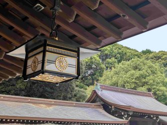 PXL_20251105_020224877.jpg PXL_20251105_020224877.jpg