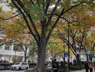 PXL_20251105_031343062.jpg PXL_20251105_031343062.jpg