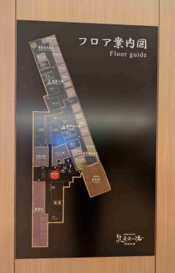 PXL_20251105_120652240.jpg PXL_20251105_120652240.jpg