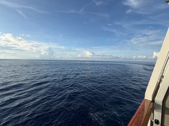 IMG_0373.JPG IMG_0373.JPG