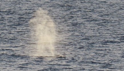 IMG_0742.JPG IMG_0742.JPG