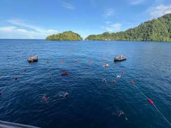 IMG_0525.JPG IMG_0525.JPG