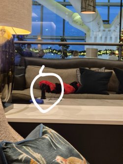 2025-12-12 16.06.02-1.jpg 2025-12-12 16.06.02-1.jpg