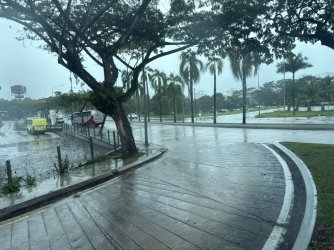 C979A165-EFE5-418C-B31E-782579BFDBD1_1_105_c.jpeg C979A165-EFE5-418C-B31E-782579BFDBD1_1_105_c.jpeg