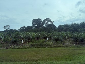 F137D7F9-4314-4859-9B80-96957941F91B_1_105_c.jpeg F137D7F9-4314-4859-9B80-96957941F91B_1_105_c.jpeg