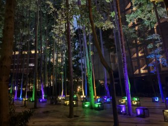 F8E425F1-B879-40E9-9081-E96BE441C508_1_105_c.jpeg F8E425F1-B879-40E9-9081-E96BE441C508_1_105_c.jpeg