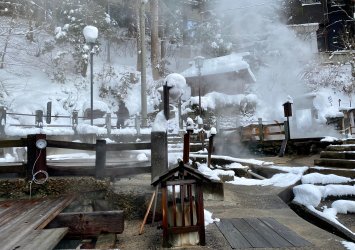 IMG_9688.jpeg IMG_9688.jpeg