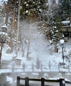 IMG_9691.jpeg IMG_9691.jpeg