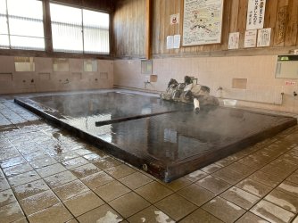 IMG_9796.jpeg IMG_9796.jpeg