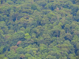 IMG_0841.JPG IMG_0841.JPG