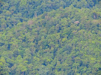 IMG_0844.JPG IMG_0844.JPG