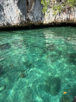 IMG_0649.JPG IMG_0649.JPG