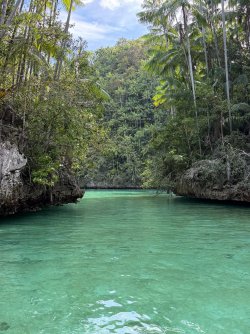 IMG_0665.JPG IMG_0665.JPG