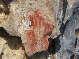 IMG_0856.JPG IMG_0856.JPG